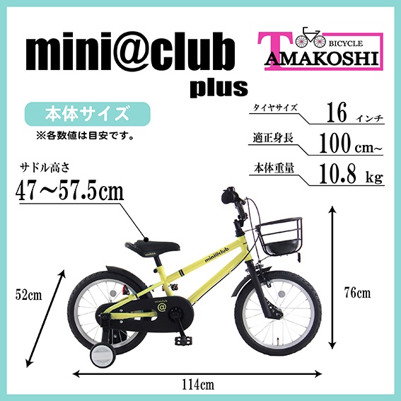 �{�̃T�C�Y