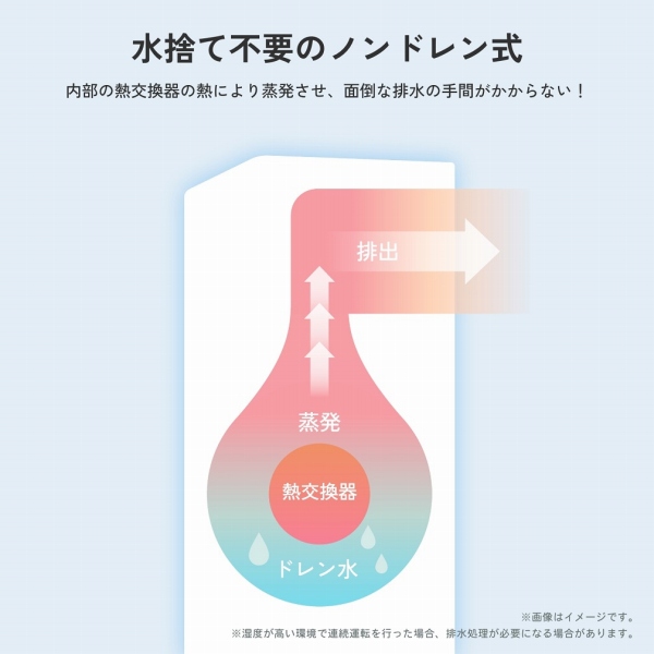 ���̂ĕs�v�̃m���h������