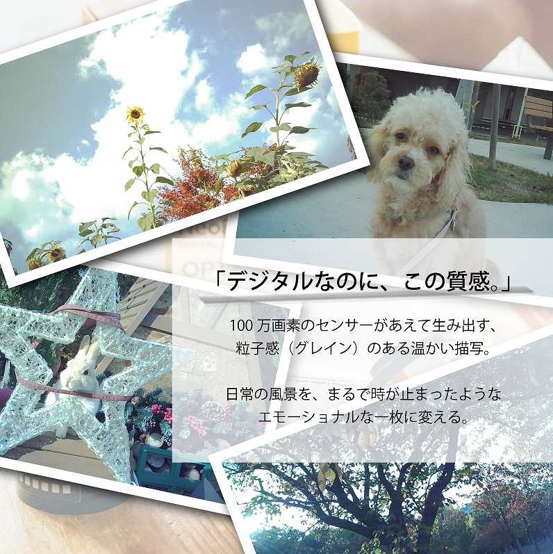 �y�V���V�A Opt! �I�v�g OPT100 Neo Film �t�B�����^ �f�W�^���J���� �l�I�t�B�����z����2