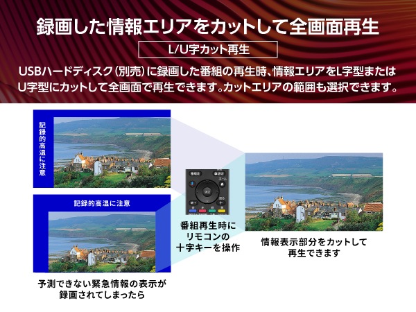 �^�悵�����G���A���J�b�g���đS��ʍĐ�
