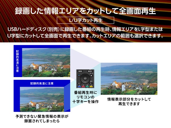�^�悵�����G���A���J�b�g���đS��ʍĐ�