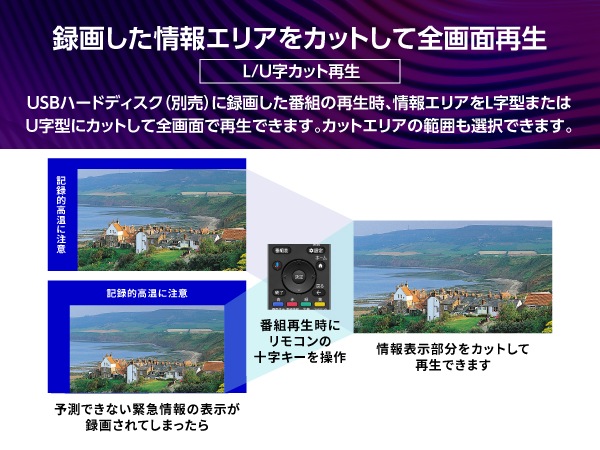 �^�悵�����G���A���J�b�g���đS��ʍĐ�