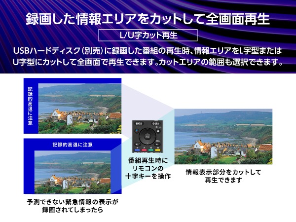 �^�悵�����G���A���J�b�g���đS��ʍĐ�