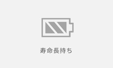 �o�b�e���[�̎���������