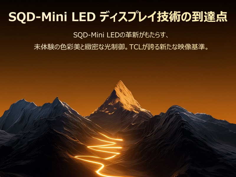 SQDMini LED �f�B�X�v���C�Z�p�̓��B�_