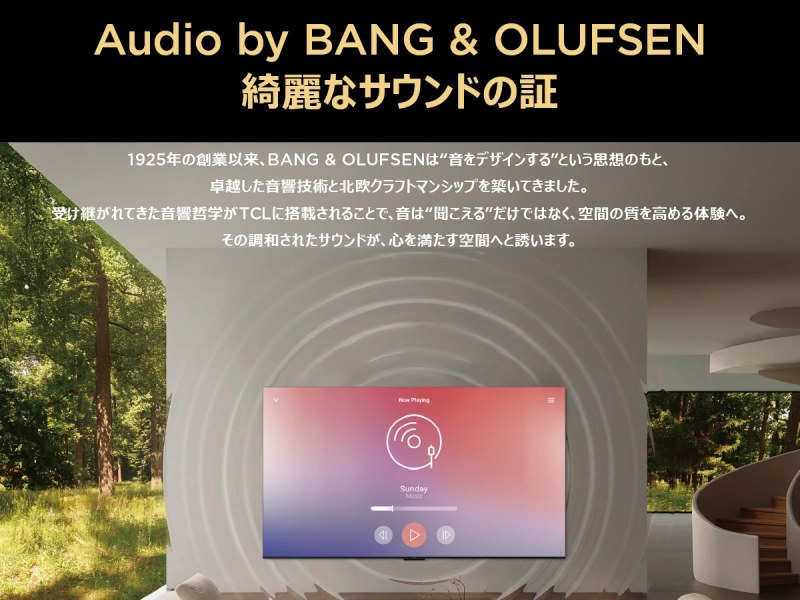Audio by BANG & OLUFSEN�@�Y��ȃT�E���h�̏�