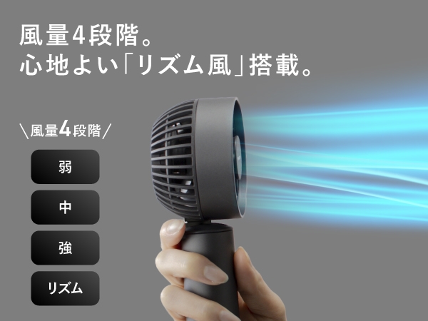 ����4�i�K�B�S�n�悢�u���Y�����v���ځB