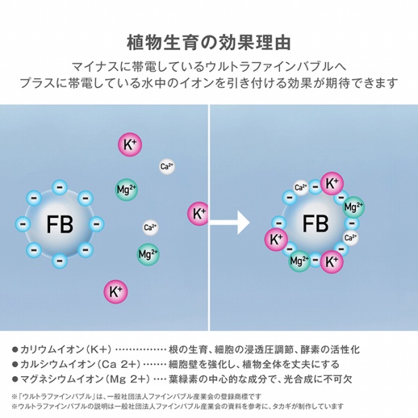 �A���琬�̌��ʗ��R