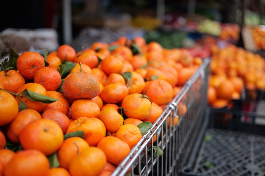 �yS-S40 LUMIX S 40mm F2�z�������{�P���ƁA�L���ȕ\����