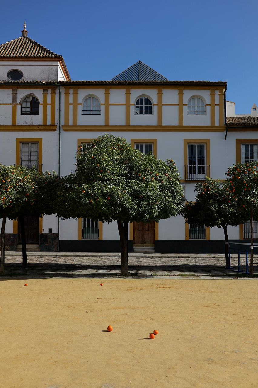 �yS-S40 LUMIX S 40mm F2�z���4