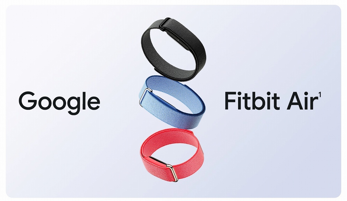 Google Fitbit Air