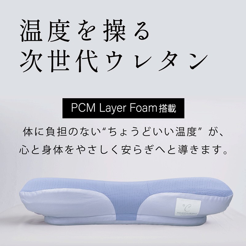 ���x�𑀂鎟����E���^��