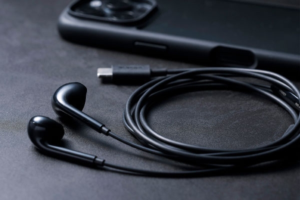 USB Type-C�ڑ��̗L���C���z��
