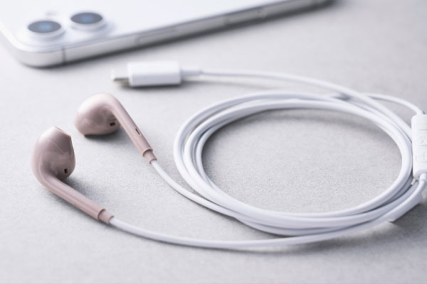 USB Type-C�ڑ��̗L���C���z��