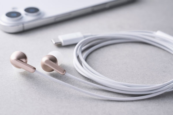 USB Type-C�ڑ��̗L���C���z��