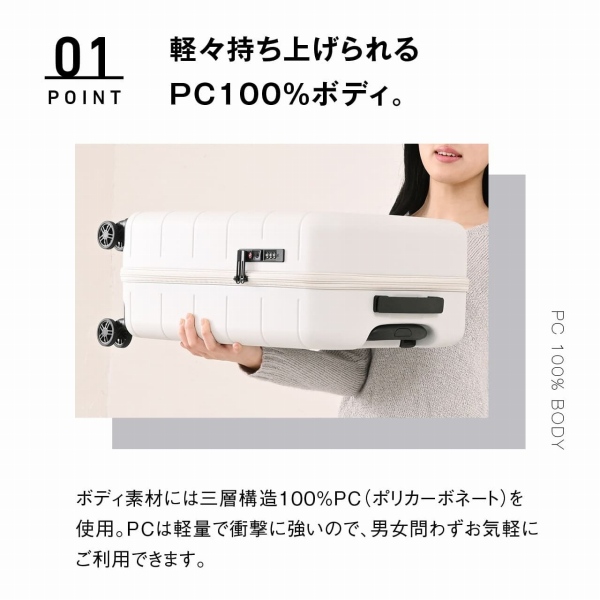 �y�X�����グ����PC100���{�f�B