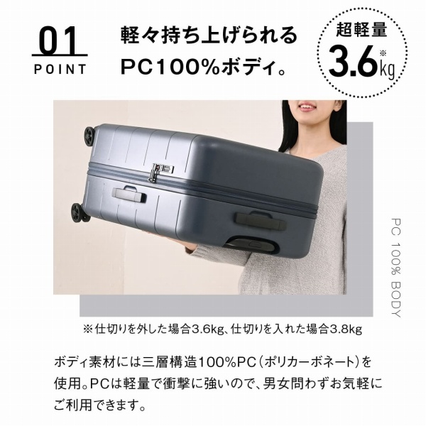�y�X�����グ����PC100���{�f�B