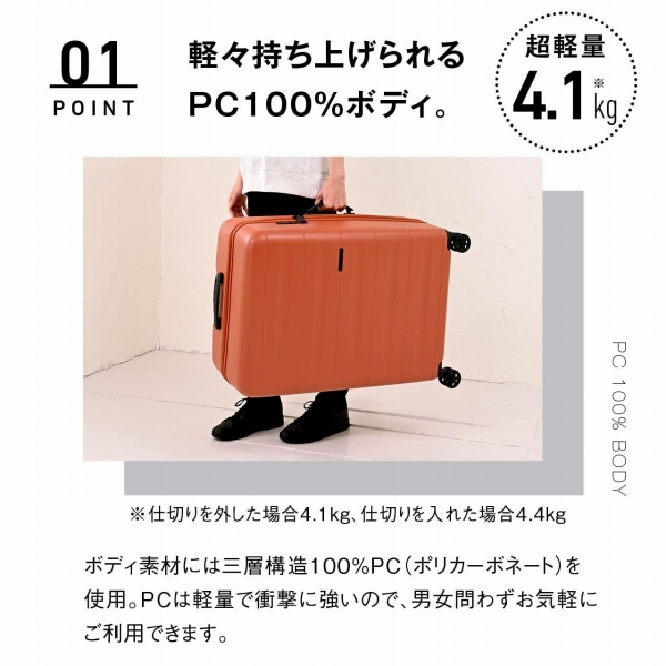 �y�X�����グ����PC100���{�f�B