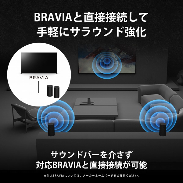 BRAVIA�ƒ��ڐڑ����Ď�y�ɃT���E���h����