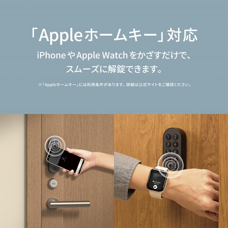 �uApple�z�[���L�[�v�Ή�