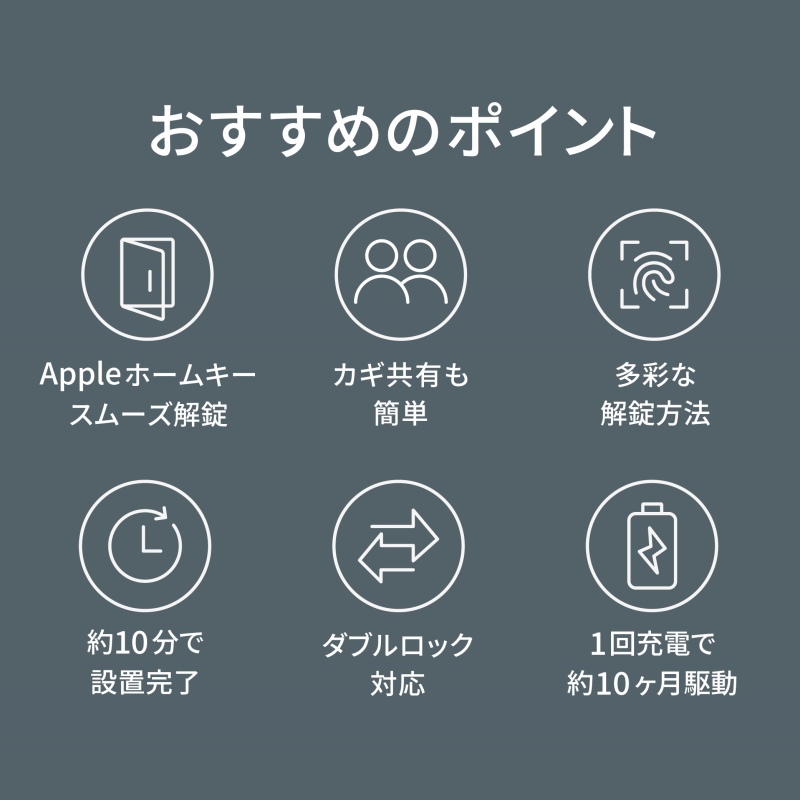 6�̂������߂̃|�C���g