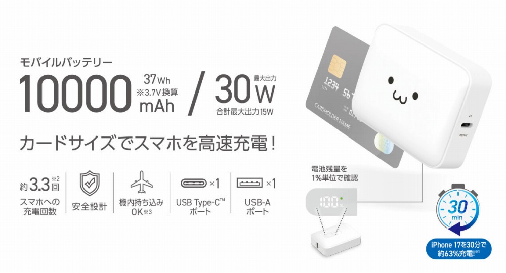 DEC91L10000WF
