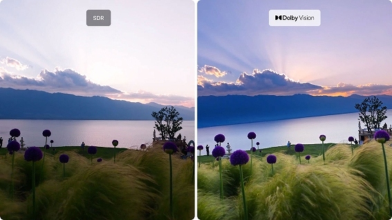 �V�l�}�N�I���e�B��Dolby�V�A�^�[�̌�