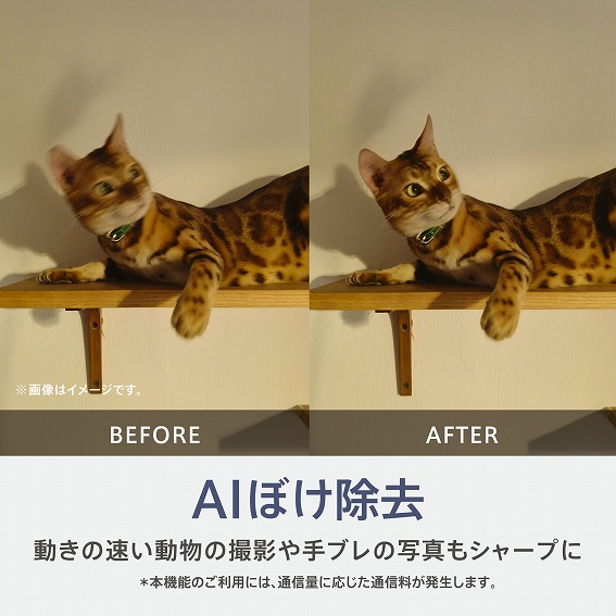 AI�ڂ�����