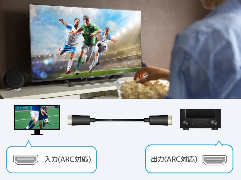 ARC�Ή��ŁA�e���r��唗�͂̃T�E���h��