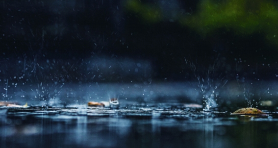 Long Rain