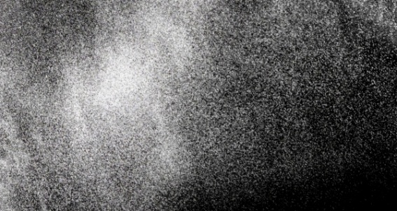 Whito Noise