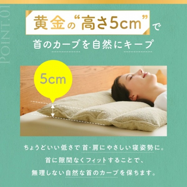 �����̍���5cm