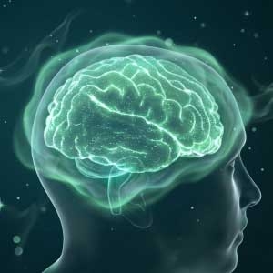 �u���[�L���O�������v�����