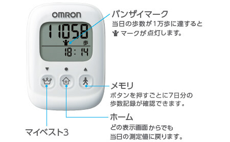 VvŁA傫߁B