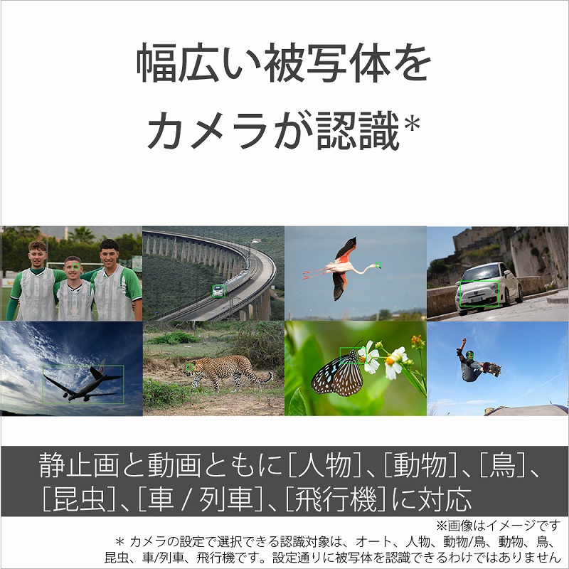 ���L����ʑ̂��J�������F��*