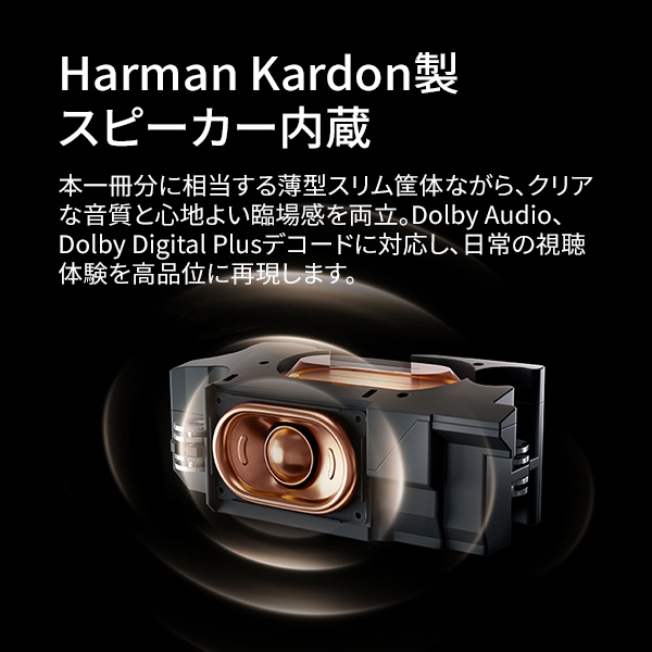 Harman Kardon���X�s�[�J�[����