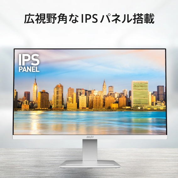 �y�L����p��IPS�p�l�����ځz