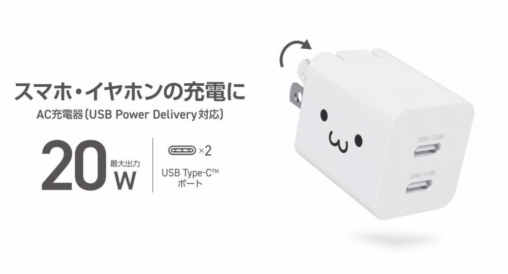 USB Type-C2�|�[�g����AC�[�d��