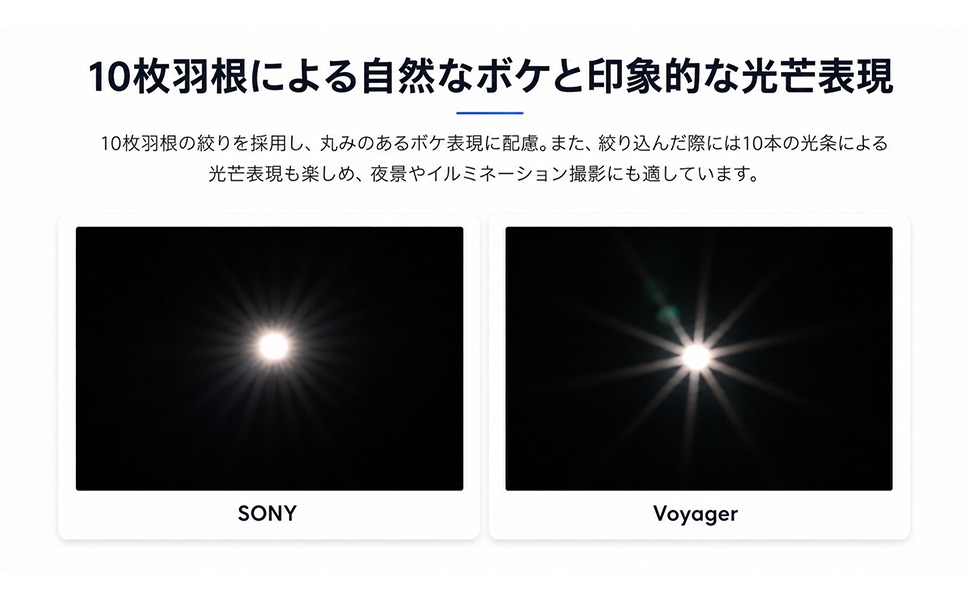 10���H���ɂ�鎩�R�ȃ{�P�ƈ�ۓI�Ȍ�䊕\��