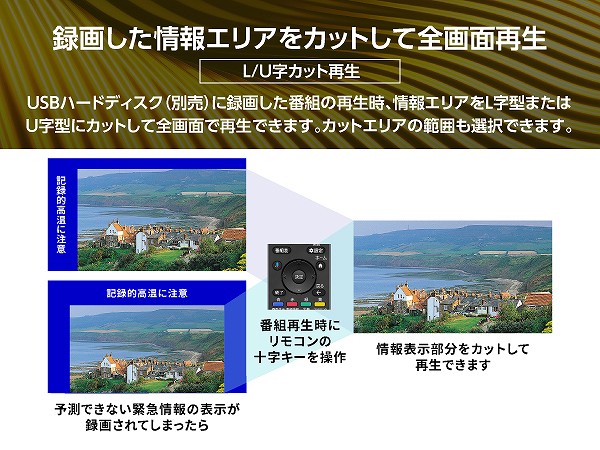 �^�悵�����G���A���J�b�g���đS��ʍĐ�