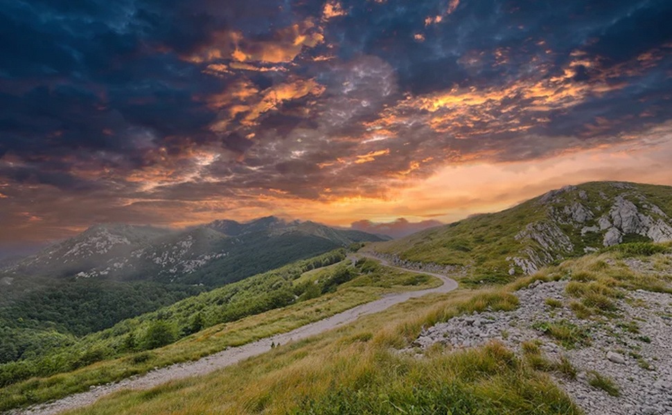 Viltrox AF14mm f4.0 AIR ��� ���i�ʐ^