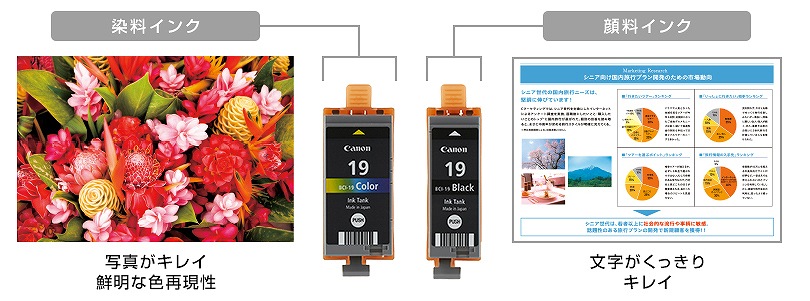 �ʐ^���L���C�I�������ɂ��܂���������L���C�ȁu5�F�n�C�u���b�h�v