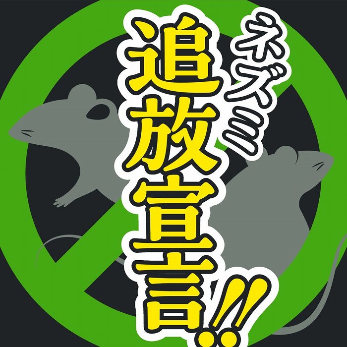 �l�Y�~�Ǖ��錾