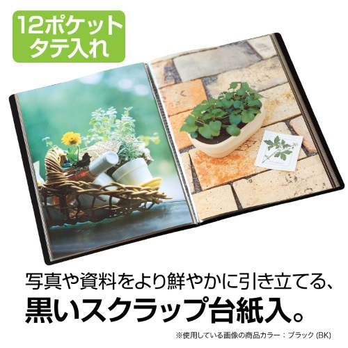 �Z�L�Z�C�@SEKISEI  SCH-50 �v���[���z���_�[