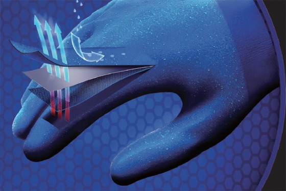 �C���[�W�摜1