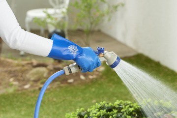 �C���[�W�摜7