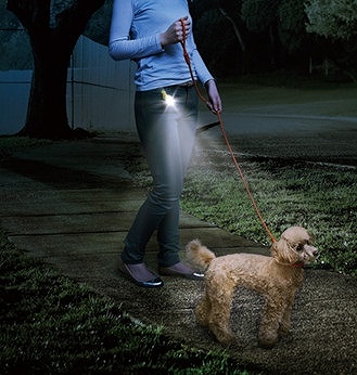 ��Ԃ̎U���ɁB