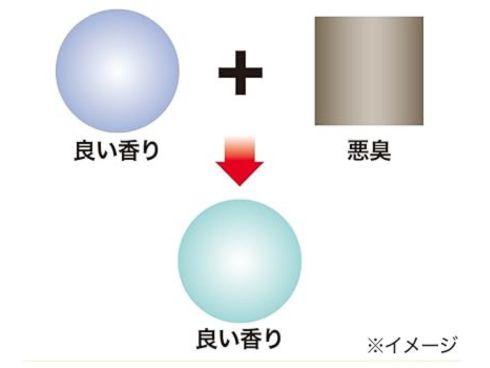 �y�A�����O���L�ŃS�~�����̃C���ȃj�I�C�����͏��L