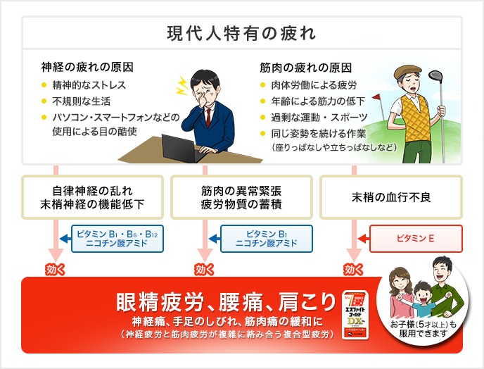 �G�X�G�X���� �y��3�ވ��i�z �G�X�t�@�C�g�S�[���hDX�i270���j�k�r�^�~���܁l