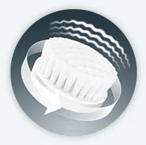 3106082_����1